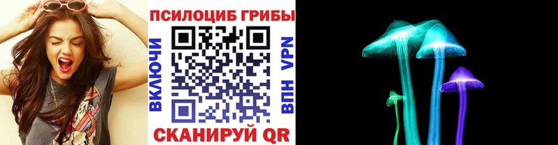 Псилоцибиновые грибы ЛСД  hydra ONION  Гремячинск 