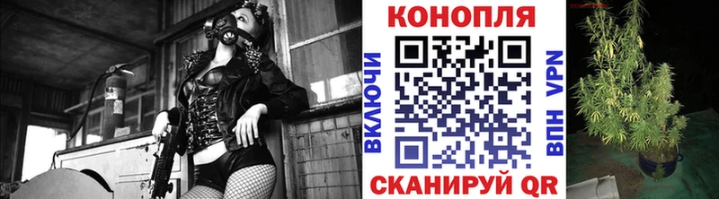 что такое   Гремячинск  Бошки Шишки сатива 